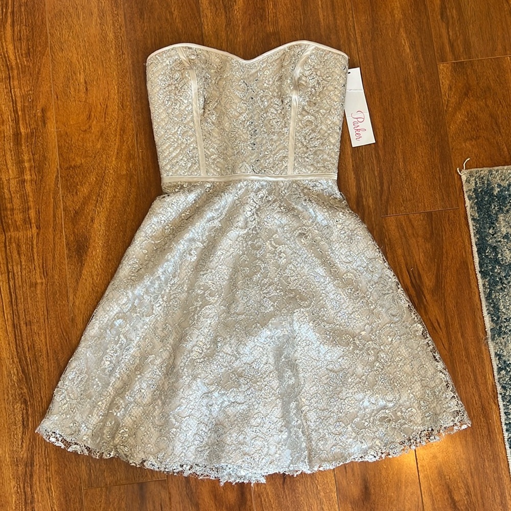 Parker Mini Dress